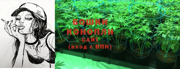 стаф Михайлов