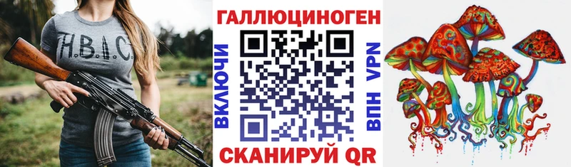 Псилоцибиновые грибы GOLDEN TEACHER  Купить где  Кашин 